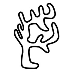 coral outline 
