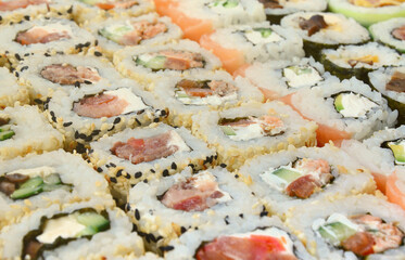 Close-up of a lot of sushi rolls with different fillings lie on a wooden surface. Macro shot of cooked classic Japanese food with a copy space.