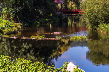  Rio Arnoia en Allariz.