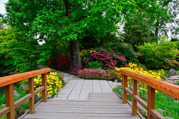 ogród japoński, kwitnące różaneczniki i azalie, ogród japoński wiosną, mostek drewniany i ściezka w ogrodzie (azaleas, Rhododendron),  japanese garden, designer garden		