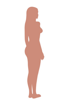 Woman body. Full-length standing portrait. Body-positive female. Front, 3 of 4, side views shape figure. Vector fashion silhouette outline line illustration