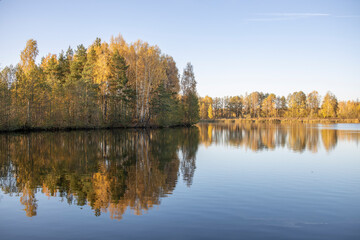 Fototapeta na wymiar Autumn landscape with a pond. Trees with yellow foliage are reflected in the water.
