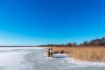 Obraz premium Schilf und Dalben am Bodden bei Wieck auf dem Fischland-Darß im Winter