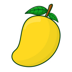 Vector mango fruit cartoon icon illustration. Food fruit icon concept isolated