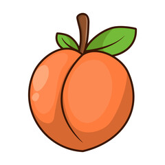 Vector peach fruit cartoon icon illustration. Food fruit icon concept isolated