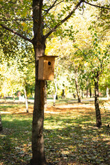 Wooden birdhouse on a tree