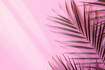 Fototapeta premium Shadow from palm leaves on the pastel color wall. 