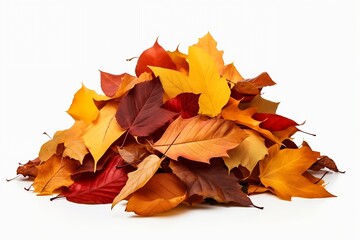 Naklejka na ściany i meble Generative AI : Pile of fall colorful maple autumn leaves isolated on white background