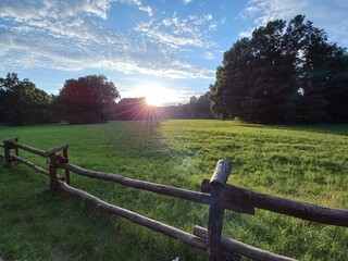 Morning in the village  © Aleksandr