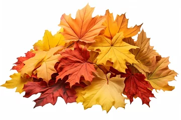 Fototapete Generative AI : Pile of fall colorful maple autumn leaves isolated on white background © The Little Hut