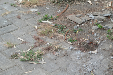 Obraz premium dirty paved yard, lots of grass growing and fallen leaves