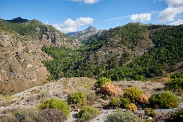 Fototapeta na wymiar Scenic view of Sierra Nevada in autumn in Spain