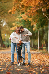 Autumn season walk. Lovely couple are with their cute dog outdoors