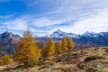 Alpe Pal&ugrave; in autunno, Valmalenco 