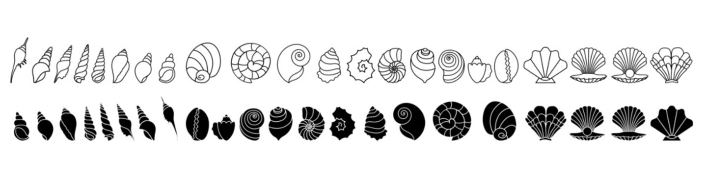 Seashell icon vector set. Shell illustration sign collection. Sea life symbol or logo.