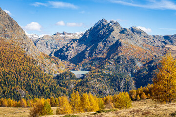 Alpe Palù in autunno, Valmalenco  - obrazy, fototapety, plakaty