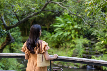 Naklejka premium Travel woman look at the forest view