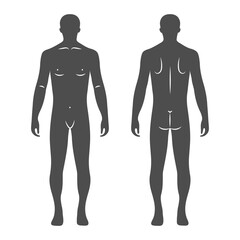 Silhouettes of a male human body, front and back views. Anatomy. Medical and concept. Illustration, vector