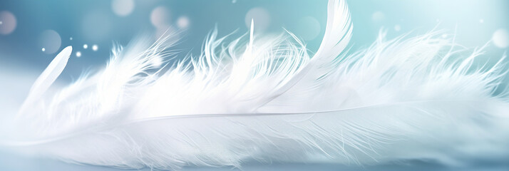 Fototapeta na wymiar Soft light fluffy a white feathers falling down in the sky. Feather abstract freedom concept.