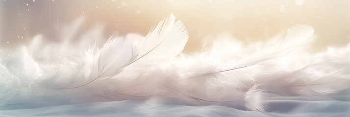 Soft light fluffy a white feathers falling down in the sky. Feather abstract freedom concept.