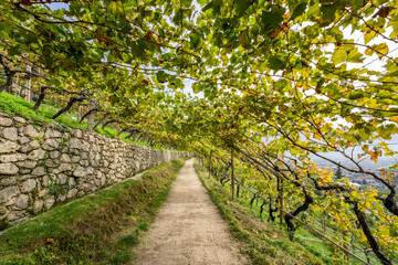 Fototapeta premium Algunder Waalweg - Meran - Südtirol - Italien