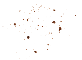 crumbs of chocolate biscuit element