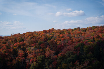 Obraz premium autumn in the mountains