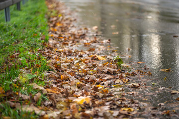 A road covered with autumn leaves in the rain can become a slipping hazard for traffic, especially for motorcyclists. Raindrops and leaves on a main road in the Sauerland.