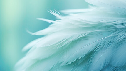 Fototapeta na wymiar a close up of a white feather on a blue background. generative ai