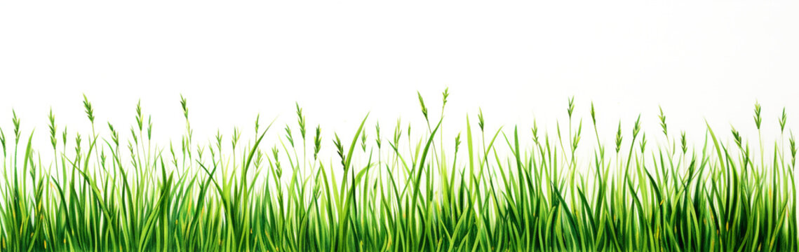 grass field drawn by green pen, white background. Generative Ai.