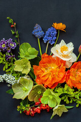 spring flowers on the black background