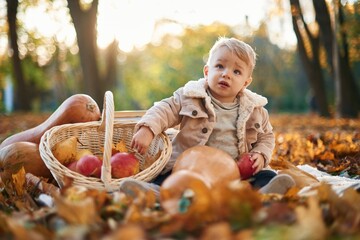 With basket of apples and pears. Little boy is sitting in the autumn park with butternut squash