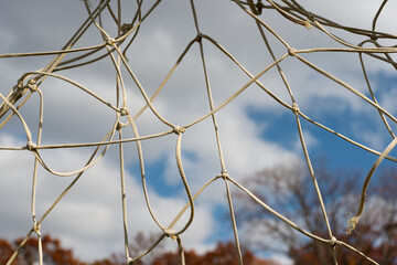 goal netting on an autumn day in the park