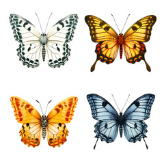 Fototapeta premium collection Butterflies on white background.