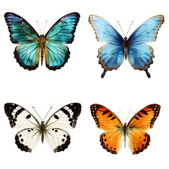 Obraz premium set of butterflies, collection Butterflies on white background.