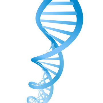 Beautiful realistic DNA blue colored double helix on transparent background.