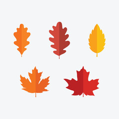 Fototapeta premium Simple Colorful Autumn Leaves Set. Leaves for Thanksgiving. Vector Illustration.
