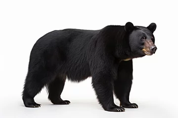 Zelfklevend Fotobehang Black bear © Ricardo Costa