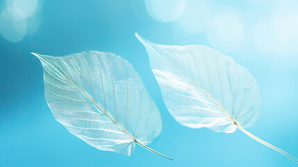  two large white leaves floating on a blue background with a bright spot in the middle of the image.  generative ai