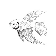 Decorative Fish Vector Image, Art and Design