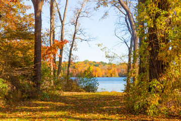 Fall Colors on the lake