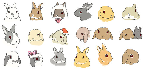cute rabbit Created in colorful illustrations.