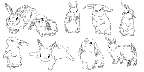 cute rabbit Created in colorful illustrations.
