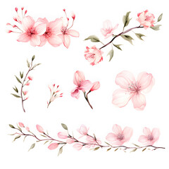 Obraz premium Watercolor floral sakura, watercolor pink flowers on white background.