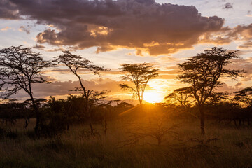 Sunset in Masai lands, Kenya