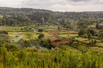 Naklejka premium Rural landscape near Kericho, Kenya