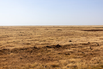 Fototapeta premium Landscape of Dide Galgalu desert., Kenya