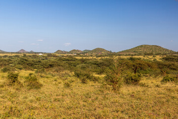 Landscape near Marsabit town, Kenya