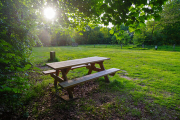 Naklejka premium empty picnic place