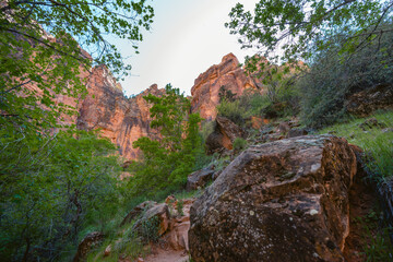 Zion National Park Landscapes in the shadows